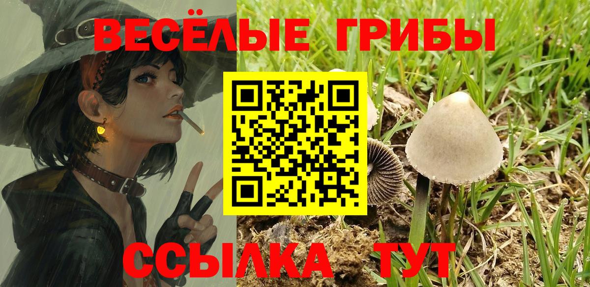 Самара  Галлюциногенные грибы Cubensis  наркотики  Вход с VPN 